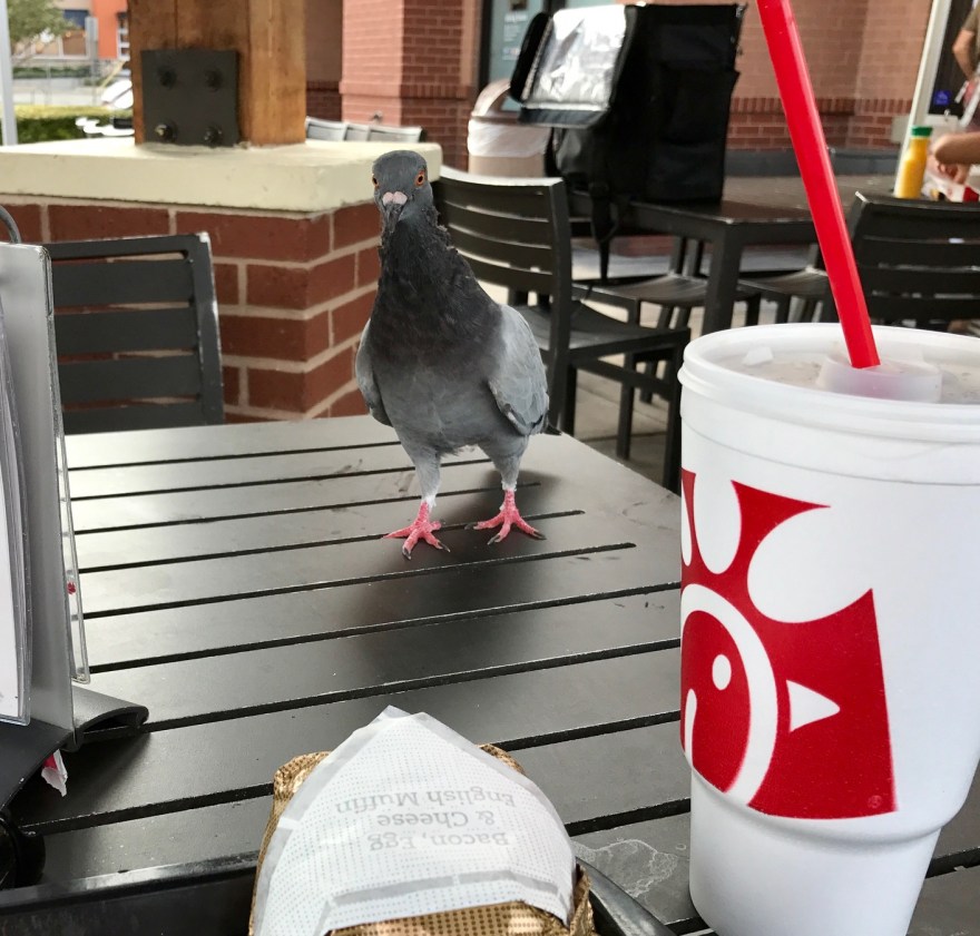 breakfast_austin_texas